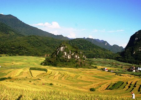 Bản án nghiêm minh đối với hành vi bạo lực dẫn đến hậu quả chết người. 