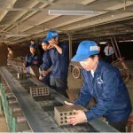 Thực hiện trợ cấp khó khăn thành 02 đợt trong quý II/2011