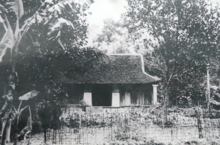 Ngay từ