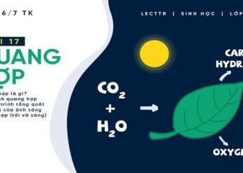 Tuyên truyền tại Trường Tiểu học – Trung học cơ sở A Roàng, huyện A Lưới, Thành phố Huế.